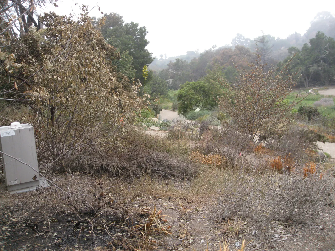 Meadow View after the Jesusita Fire showing irrigation controller