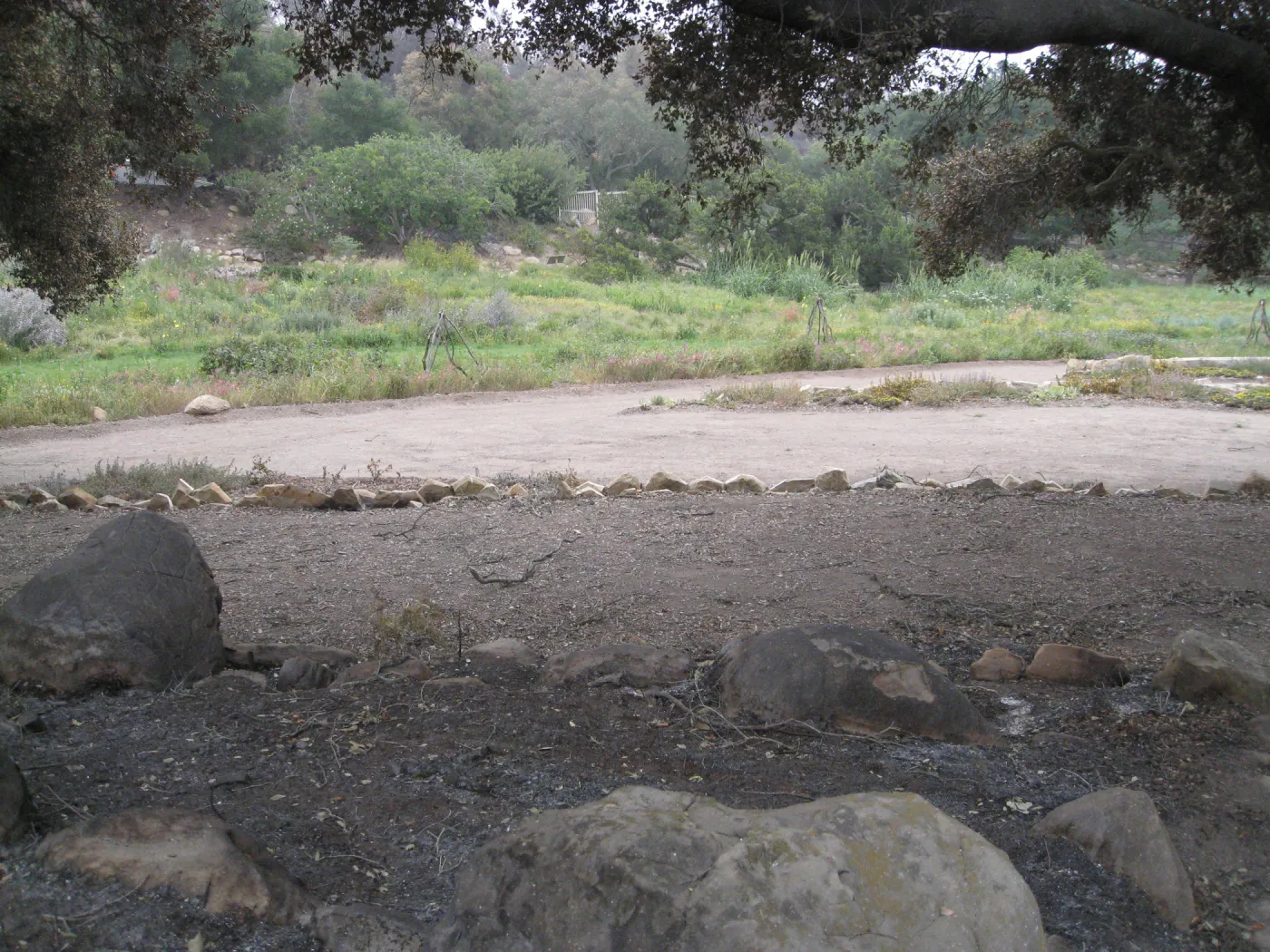 View from Meadow Oaks to Garden Terrace after the Jesusita Fire