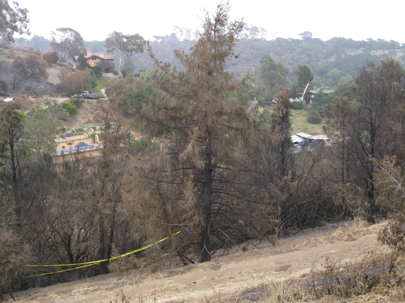 Santa Barbara Botanic Garden after the Jesusita Fire