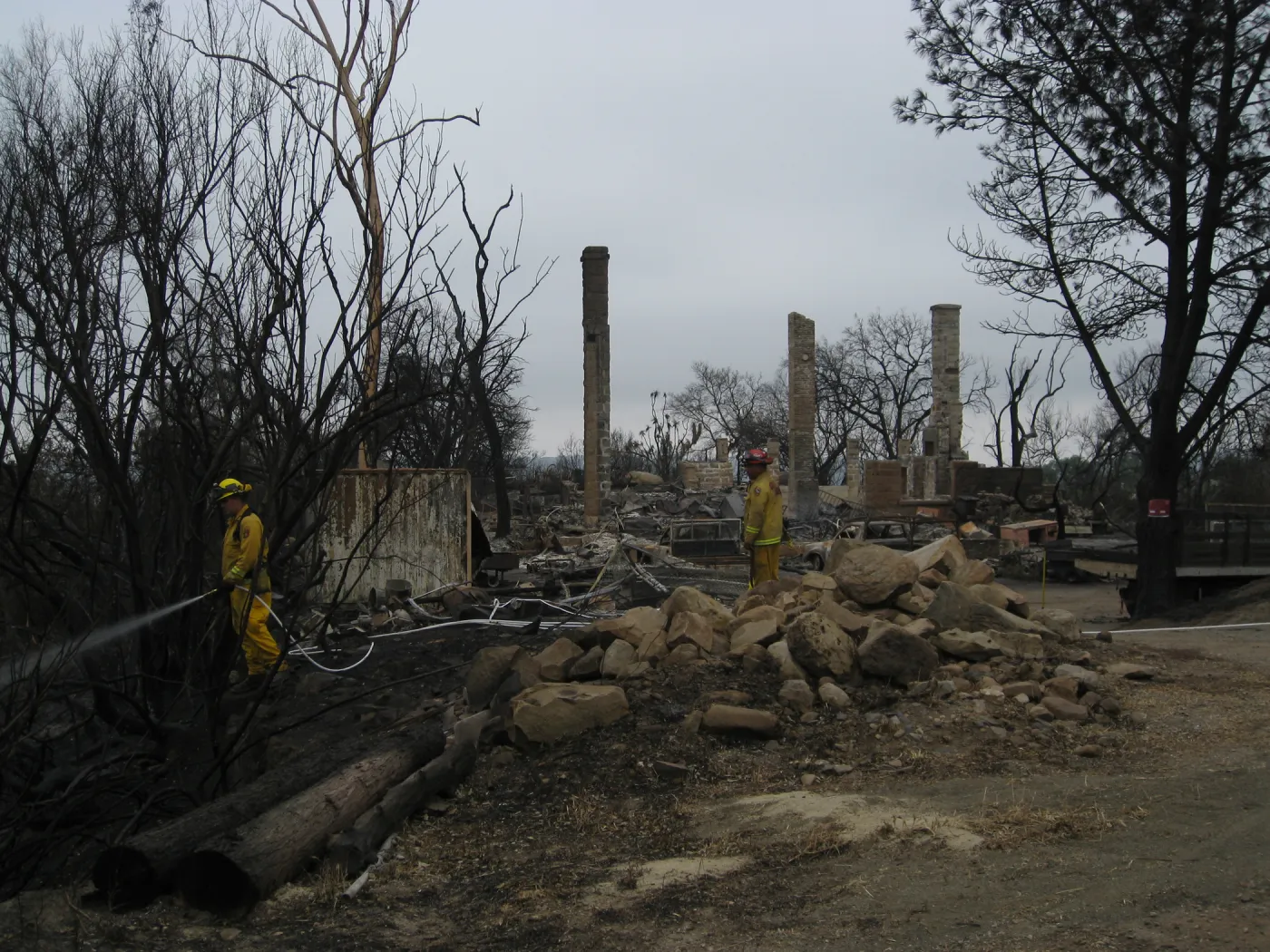 Santa Barbara Botanic Garden after the Jesusita Fire