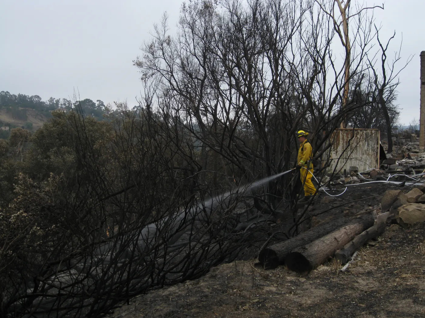 Santa Barbara Botanic Garden after the Jesusita Fire