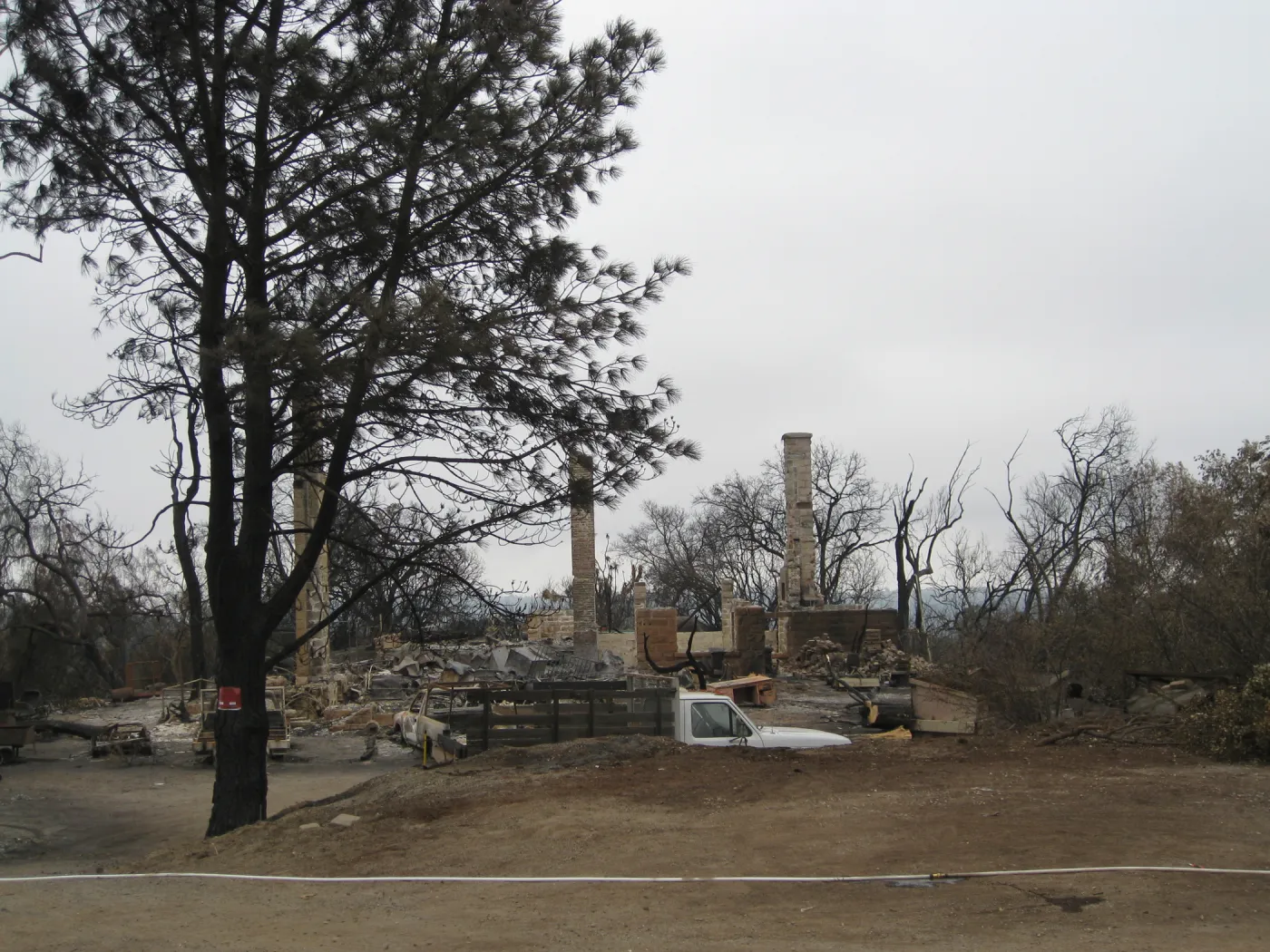 Santa Barbara Botanic Garden after the Jesusita Fire
