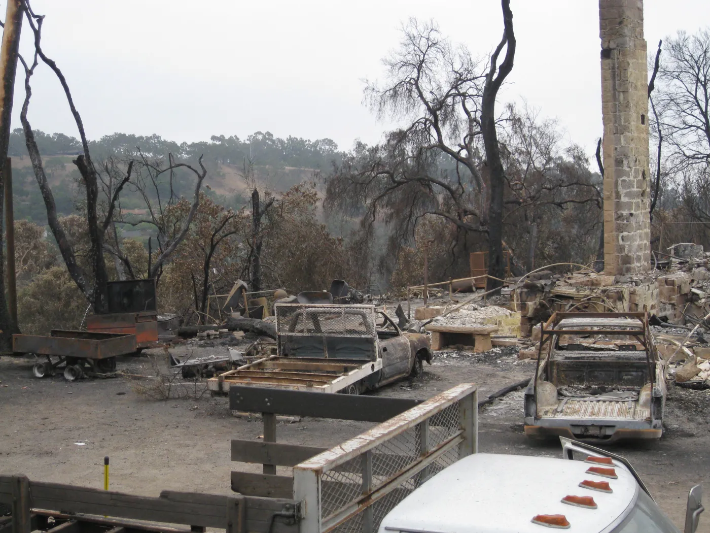 Santa Barbara Botanic Garden after the Jesusita Fire