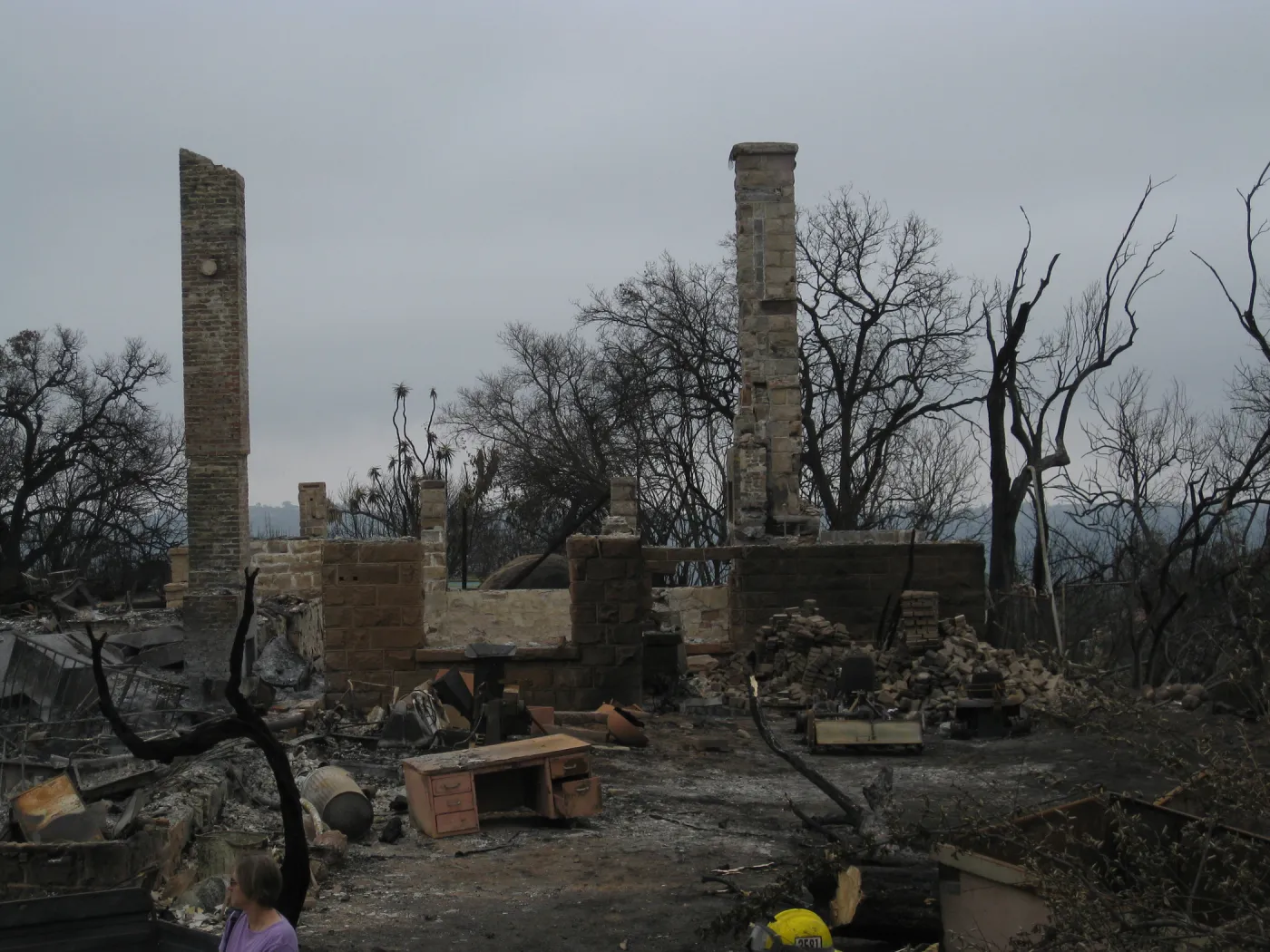 Santa Barbara Botanic Garden after the Jesusita Fire