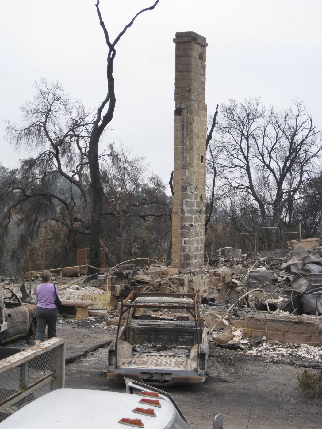 Santa Barbara Botanic Garden after the Jesusita Fire