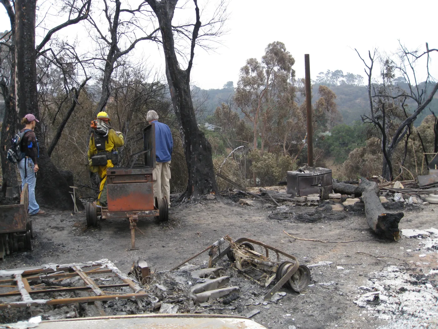 Santa Barbara Botanic Garden after the Jesusita Fire