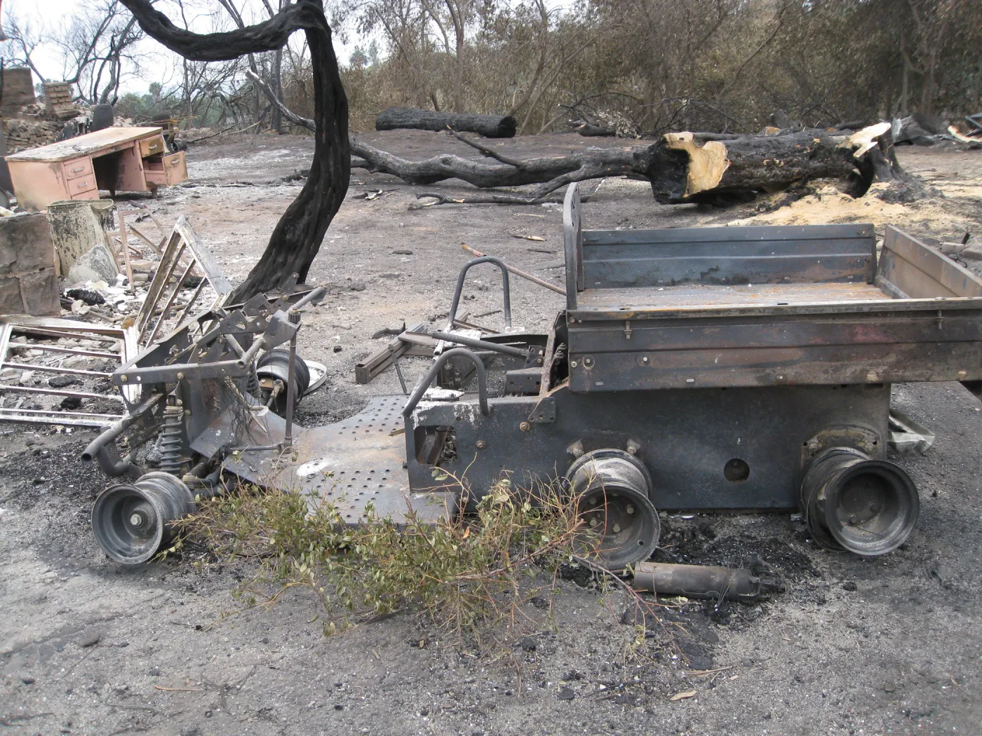 Santa Barbara Botanic Garden after the Jesusita Fire