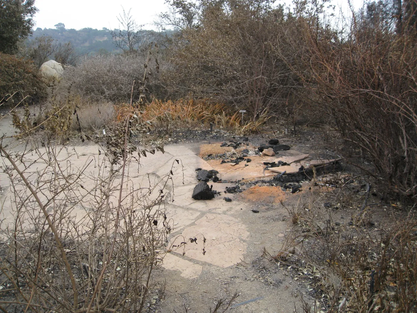 Site of Chaparral sign in Ceanothus Section after the Jesusita Fire