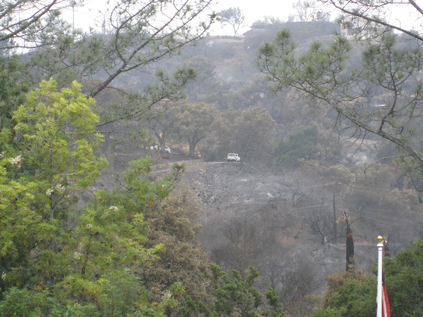 Santa Barbara Botanic Garden after the Jesusita Fire Looking North North west