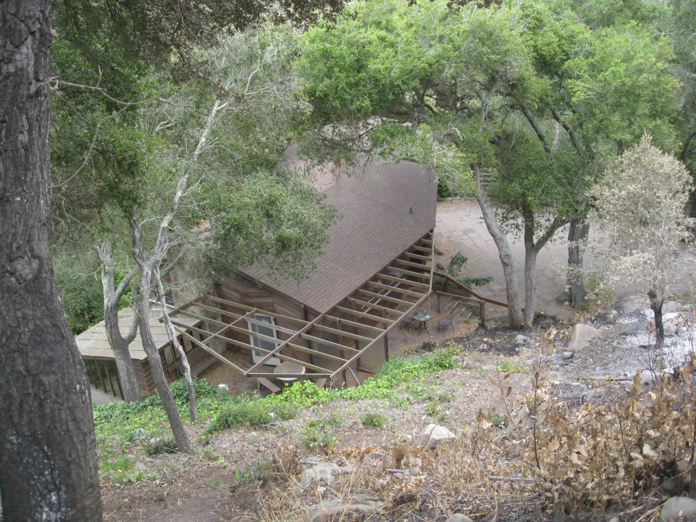 Santa Barbara Botanic Garden after the Jesusita Fire