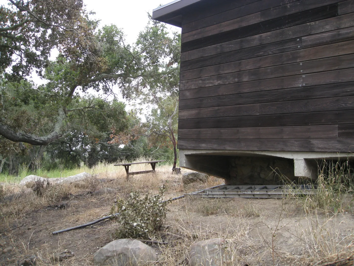 Santa Barbara Botanic Garden after the Jesusita Fire