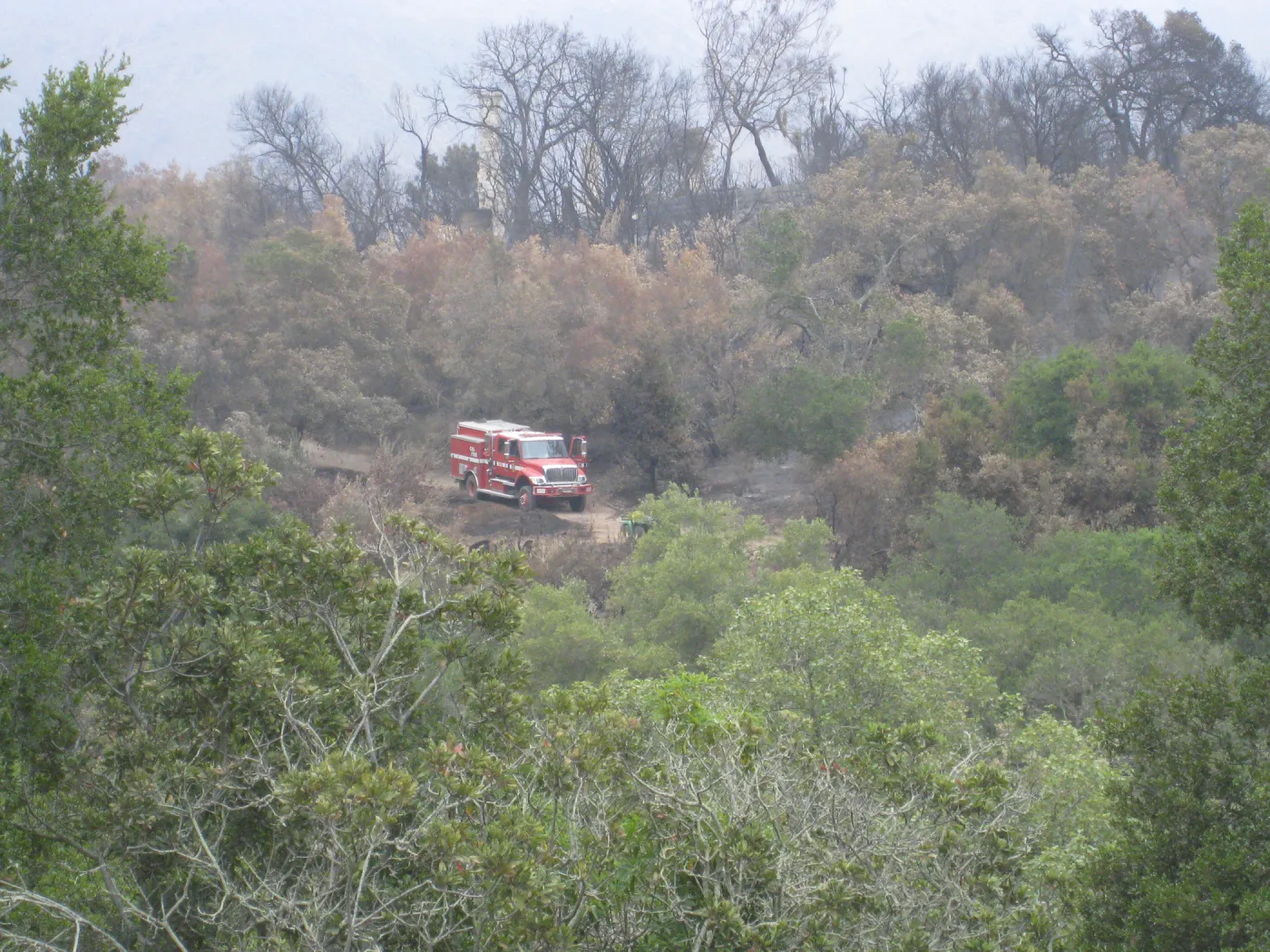 Santa Barbara Botanic Garden after the Jesusita Fire