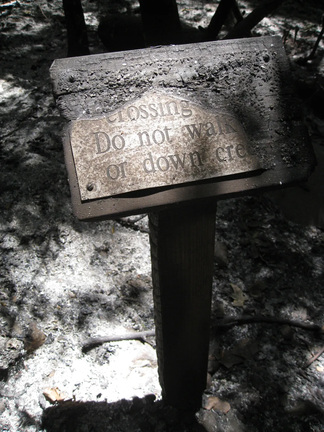 Santa Barbara Botanic Garden after the Jesusita Fire - burned sign