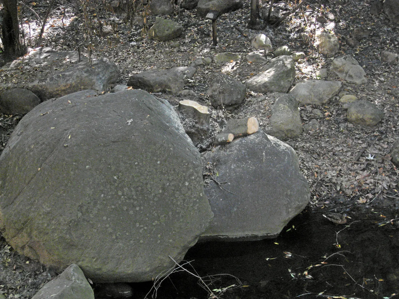 Brush clearing along Mission Creek after the Jesusita Fire,