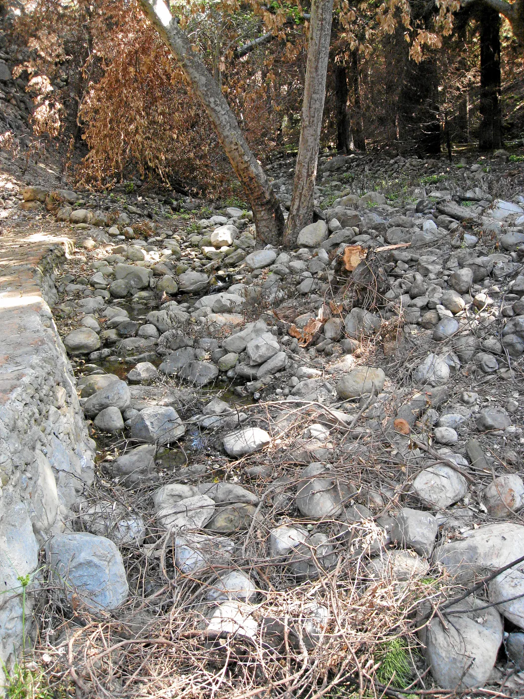Mission Creek looking north from the dam after the Jesusita Fire