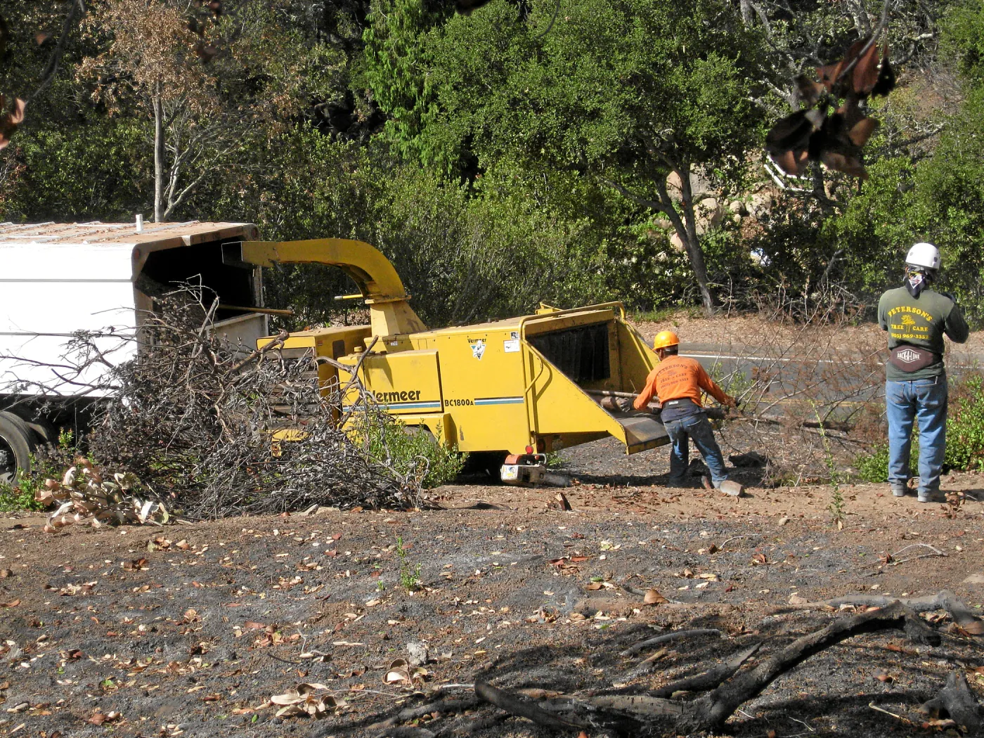 Cypress Section before tree clearing after Jesusita Fire