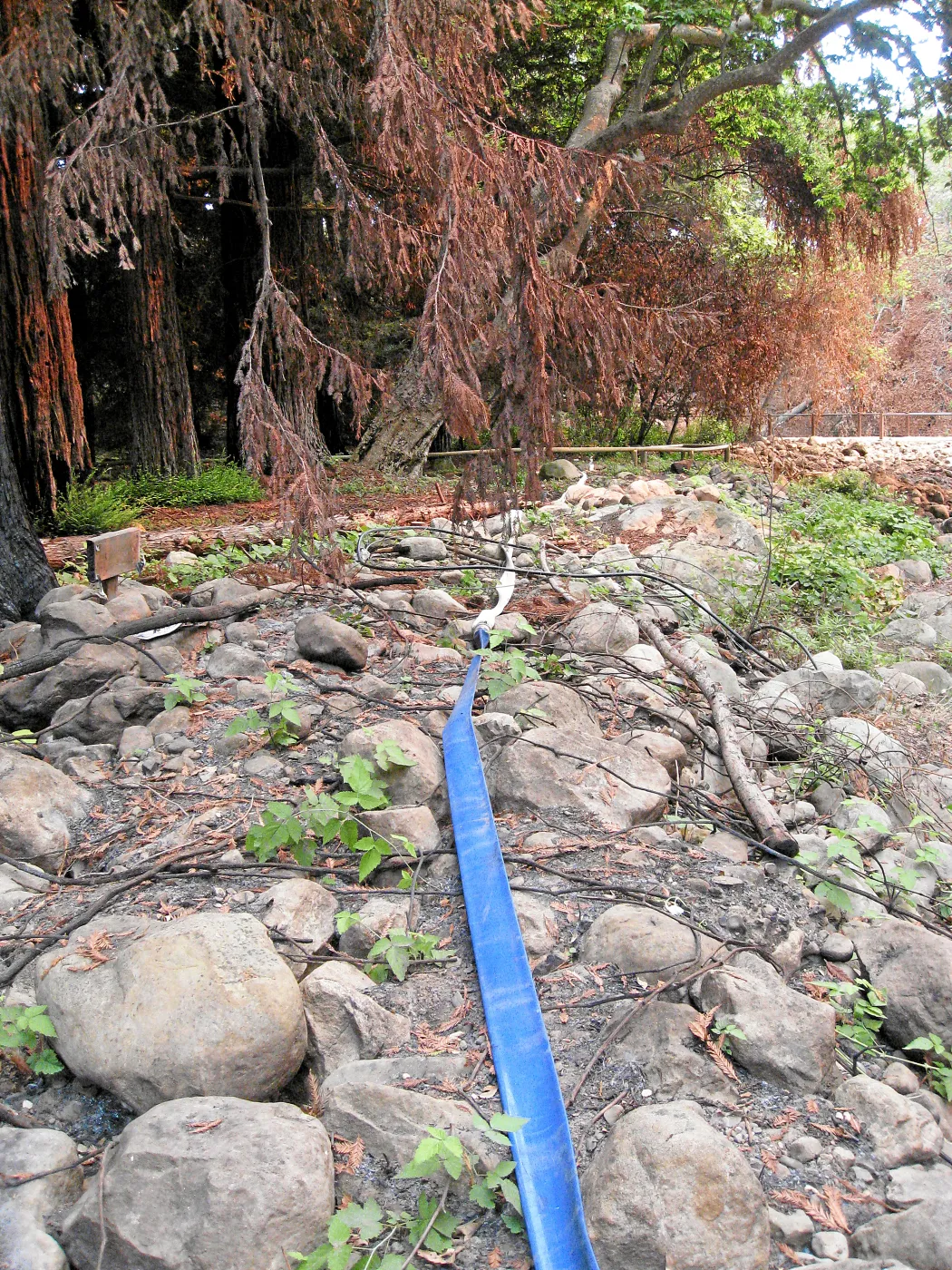 Channelization of Mission Creek above Mission Dam after Jesusita Fire