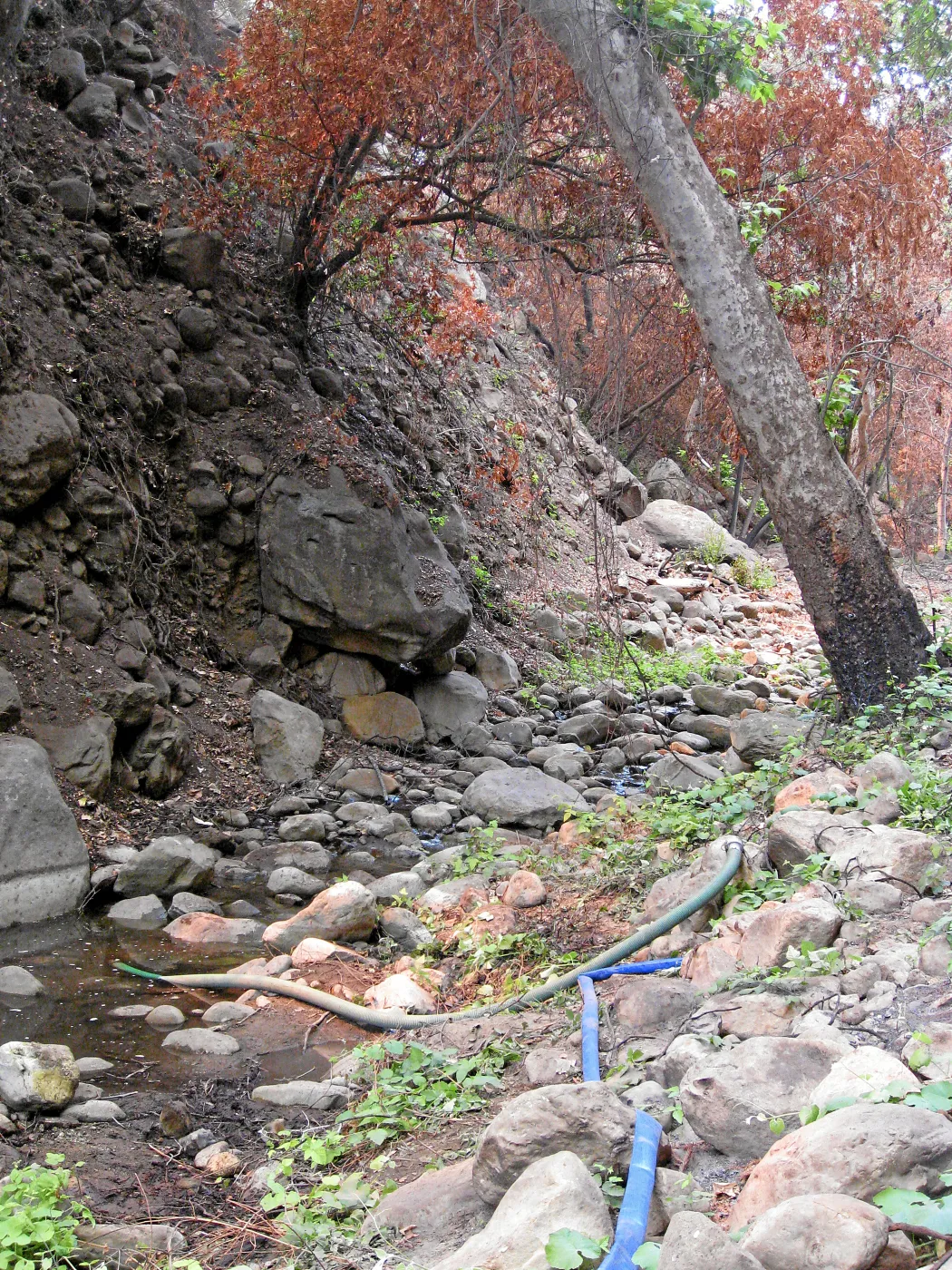 Channelization of Mission Creek above Mission Dam after Jesusita Fire