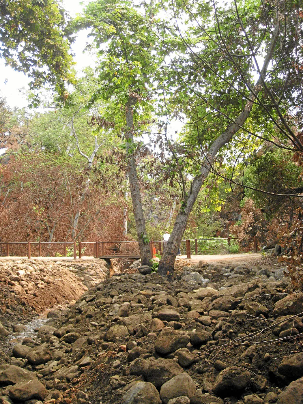 Channelization of Mission Creek above Mission Dam after Jesusita Fire