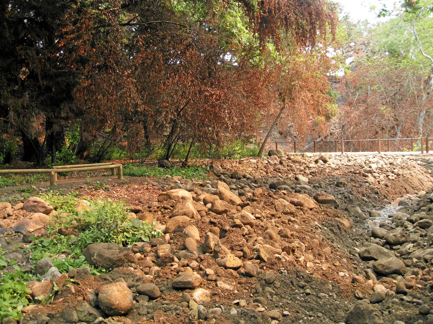 Channelization of Mission Creek above Mission Dam after Jesusita Fire