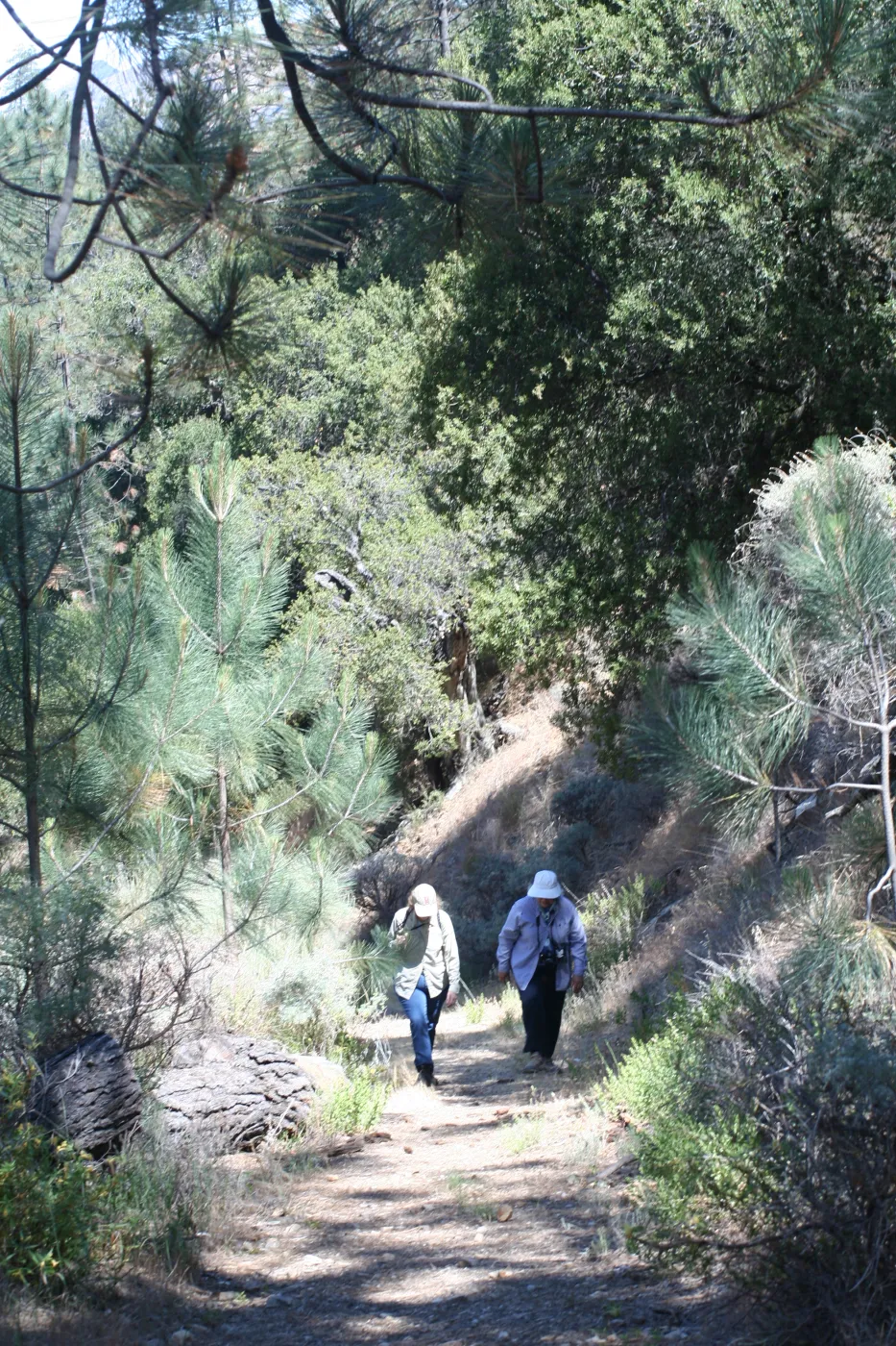 Zaca Lake