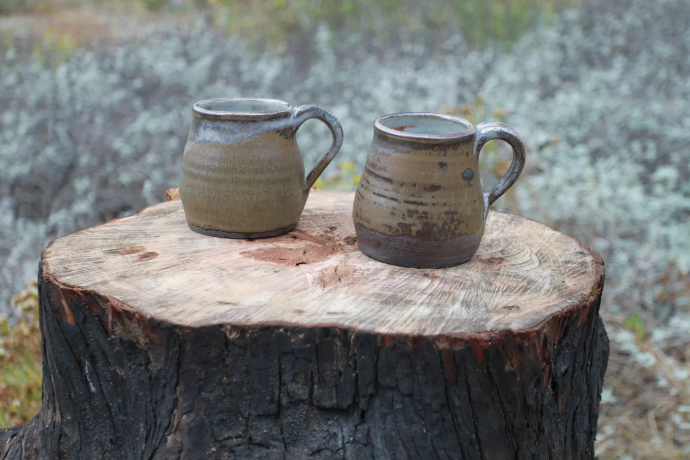 Art from the Ashes Mugs