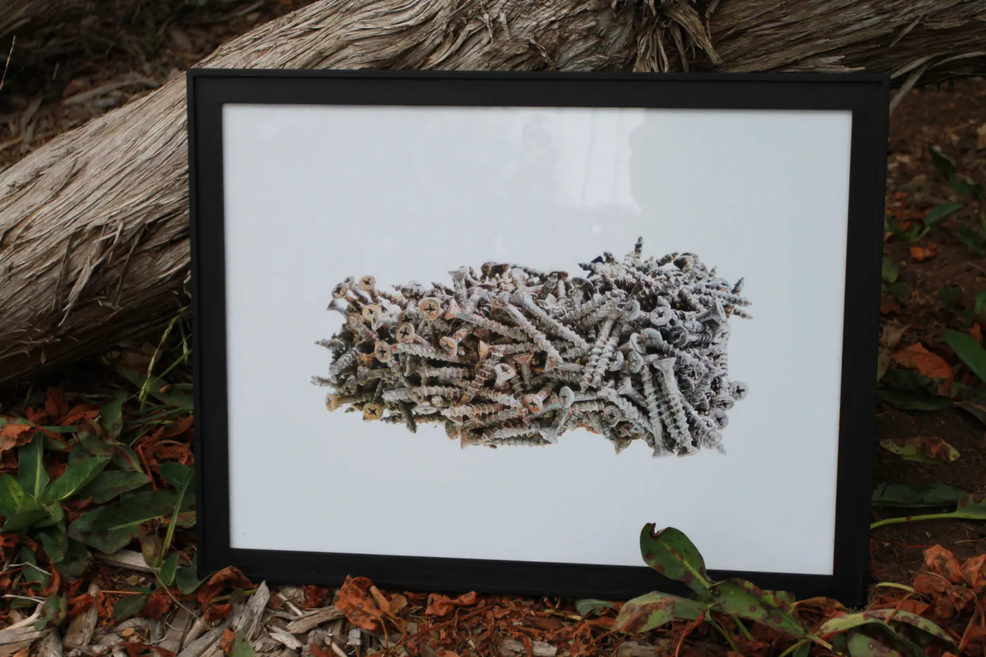 Art from the Ashes Artwork