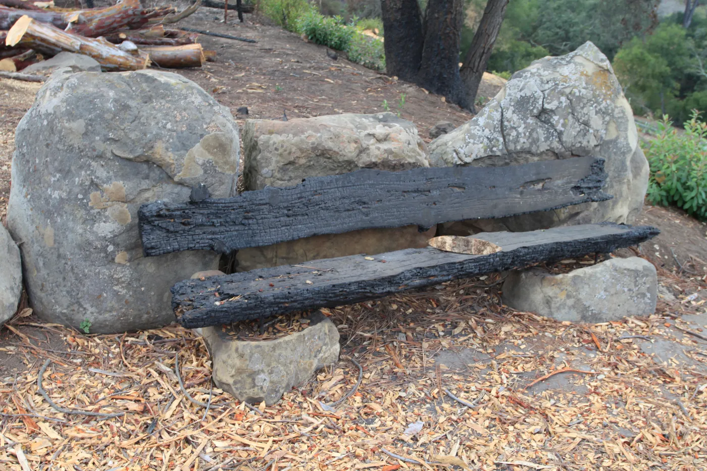 Art from the Ashes - Burned Bench