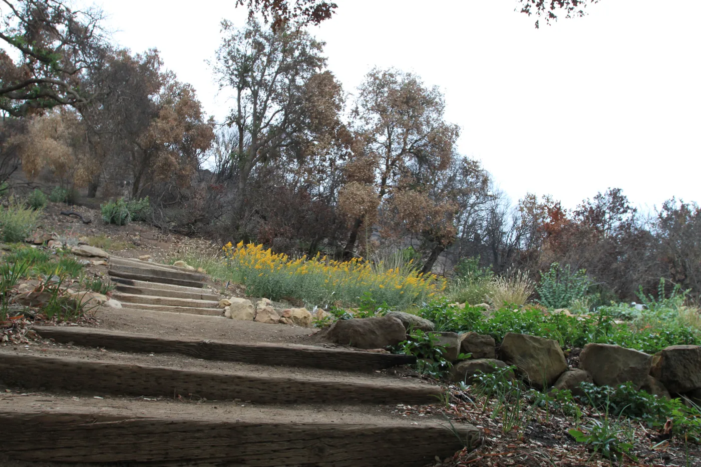 Art from the Ashes - railroad tie steps