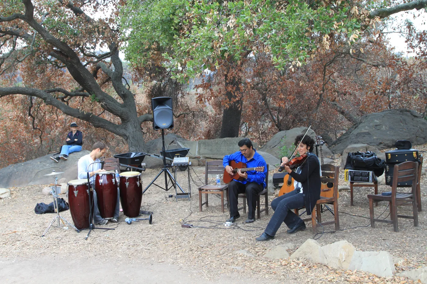 Art from the Ashes Instrumentalists