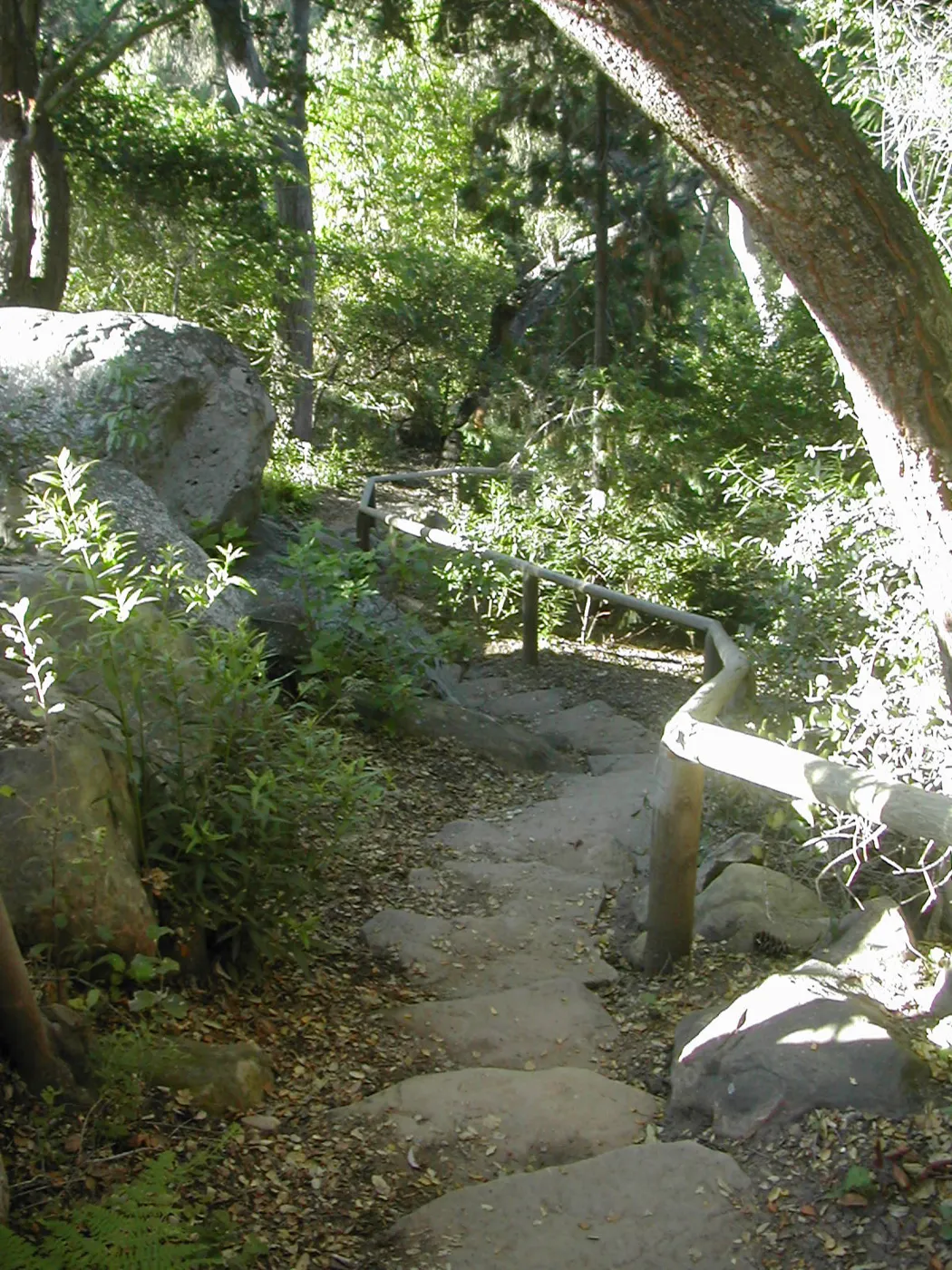 stone steps leading into the canyon from the Manzanita Section