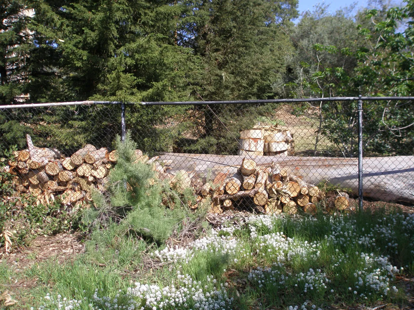 Property line fence at upper entrance on Tunnel Road