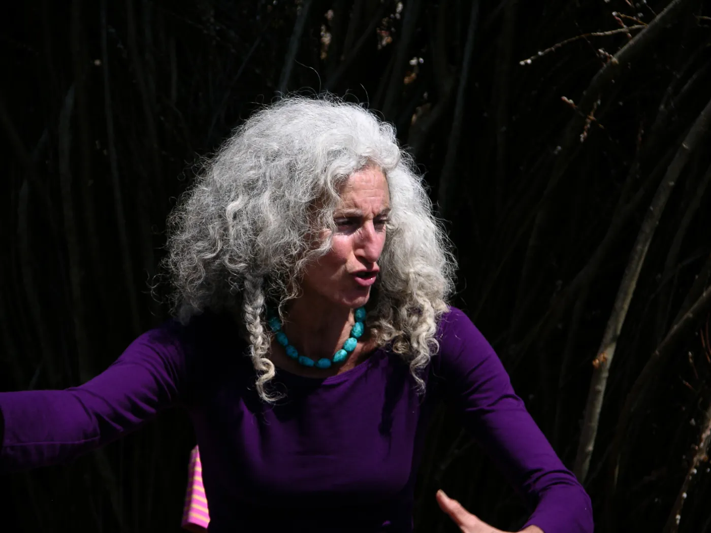 Patrick Dougherty Toad Hall Grand Opening Forest Tales