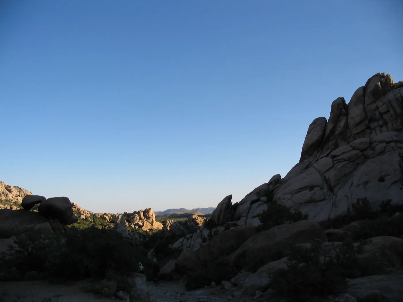Caruthers Canyon, New York Mtns 