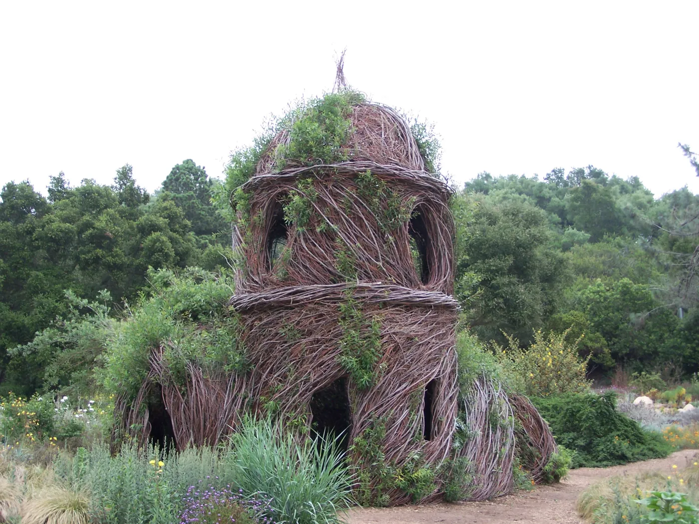 Toad Hall