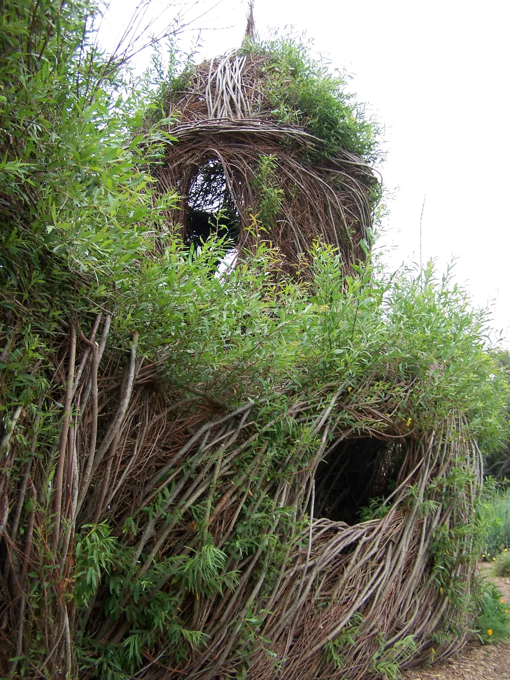 Toad Hall