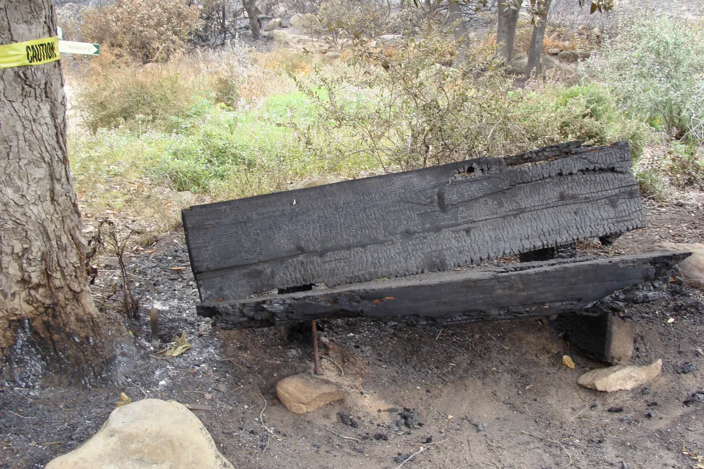 burned wood bench, at the top of the Meadow, Santa Barbara Botanic Garden, after the Jesusita Fire