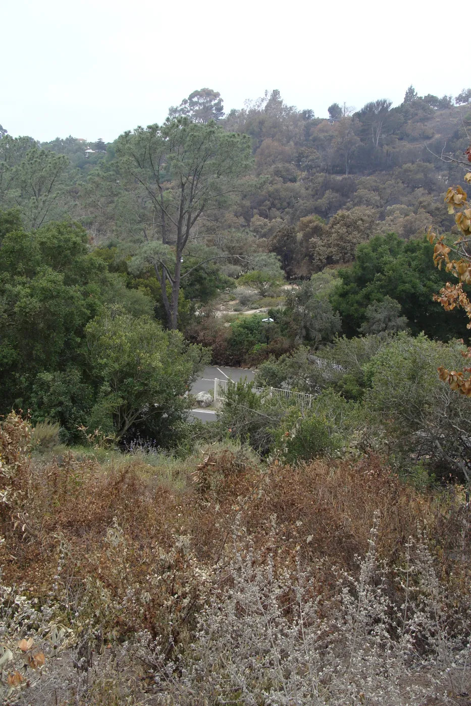 viewing across the Garden and Mission Canyon from the Porter Trail