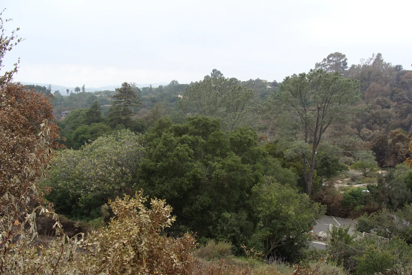 viewing across the Garden and Mission Canyon from the Porter Trail
