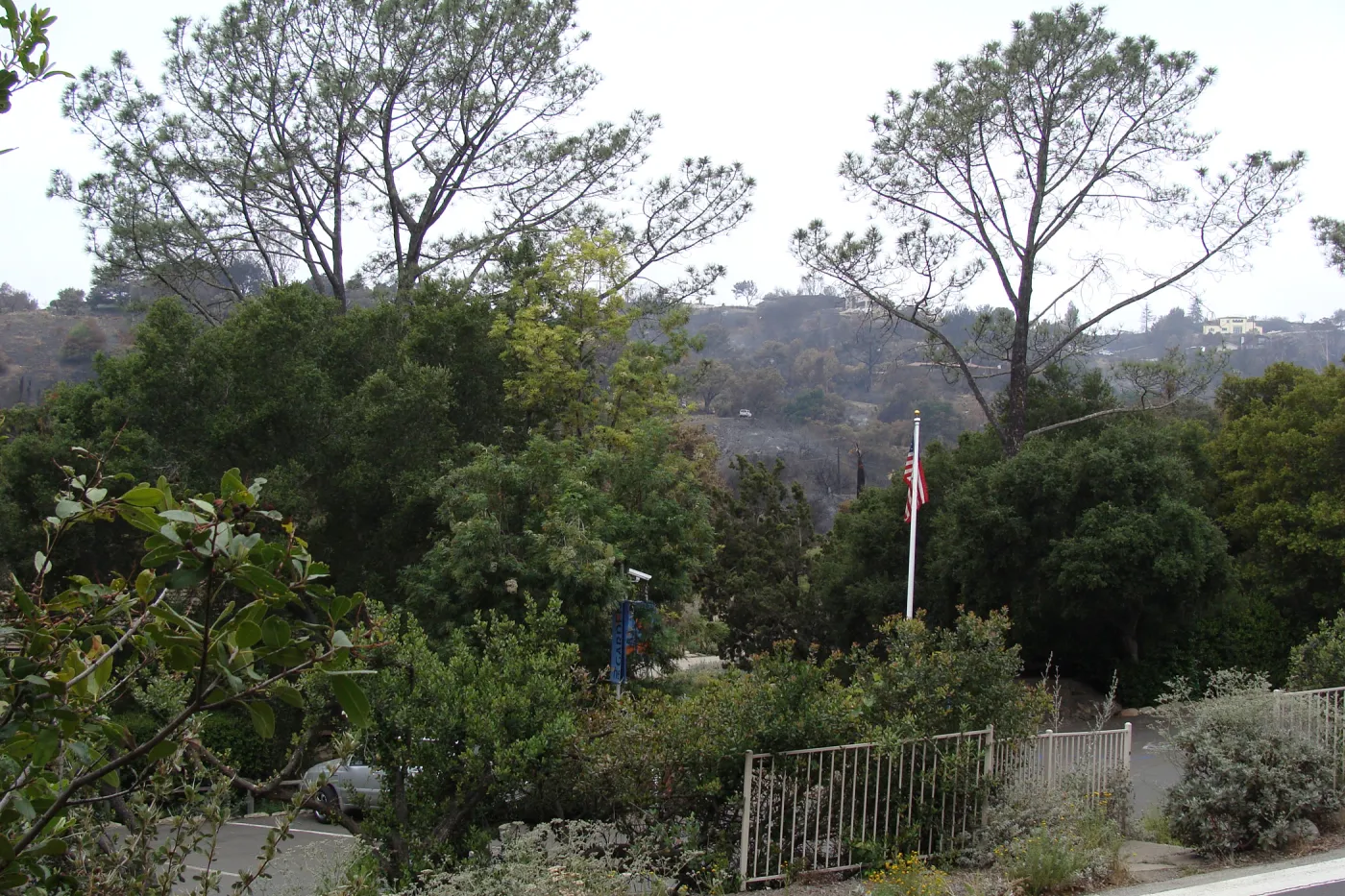 viewing west to the ridgeline above Tunnel Road, across Mission Canyon Road and the SBBG Parking Lot, after the Jesusita Fire