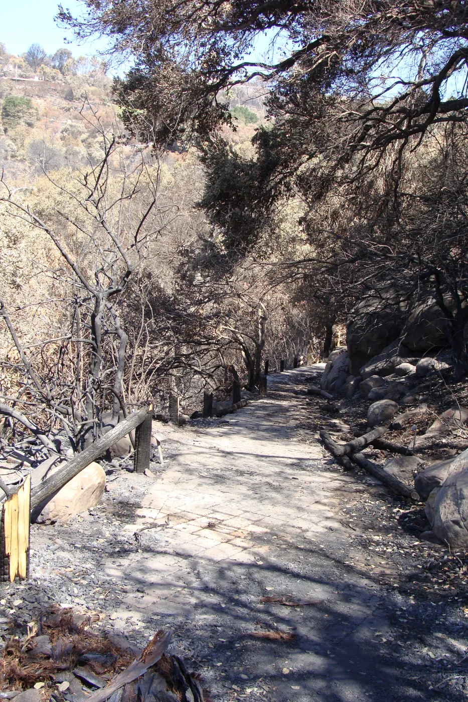 fire debris, top of the Campbell Trail, after the Jesusita Fire