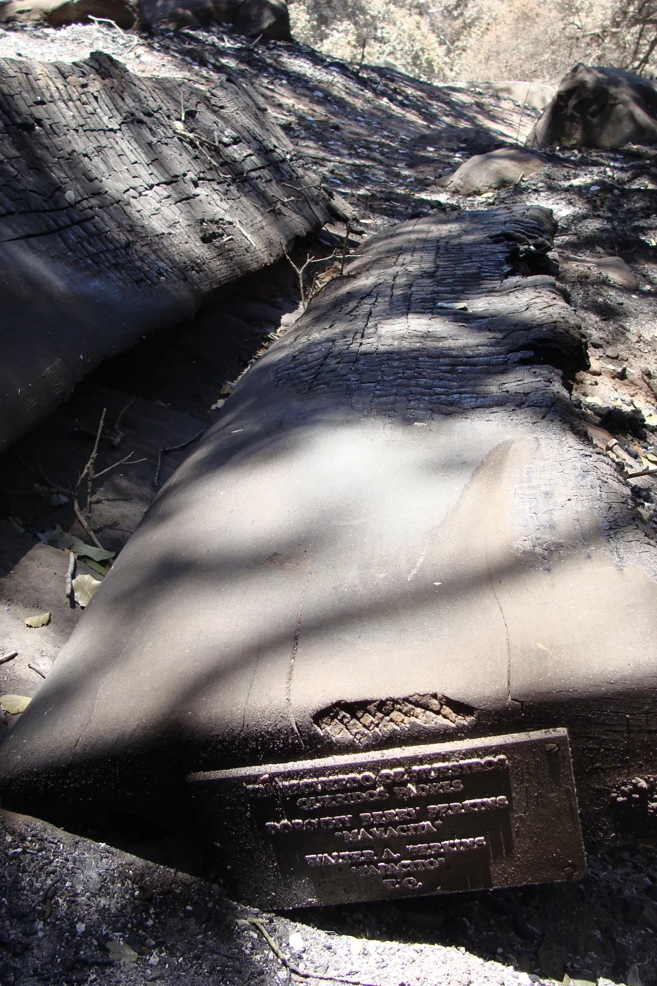 burned wood bench and dedication plaque, after the Jesusita Fire