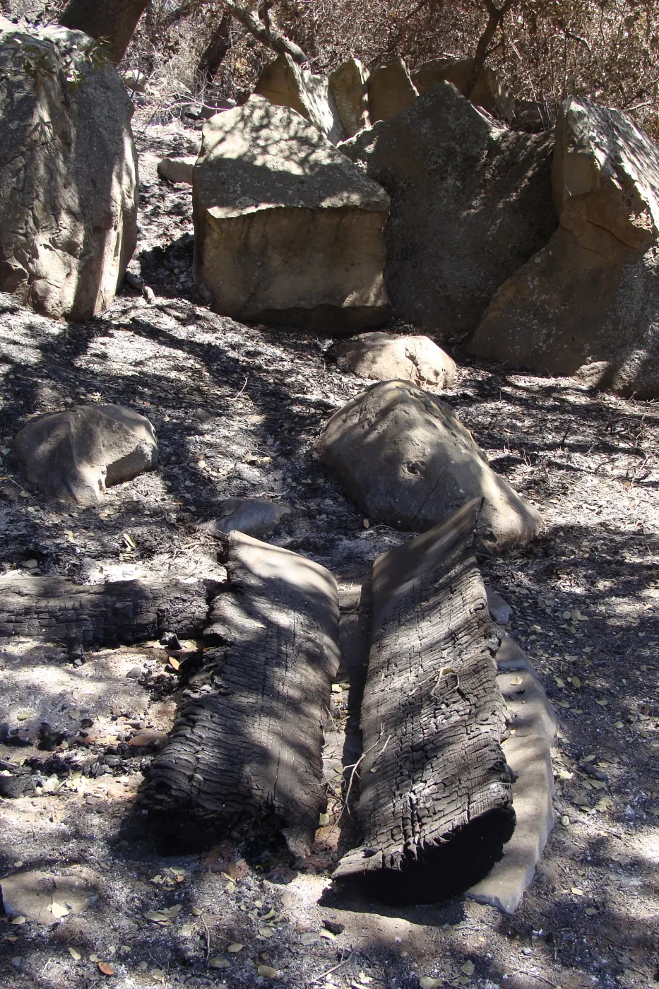 burned wood bench, after the Jesusita Fire