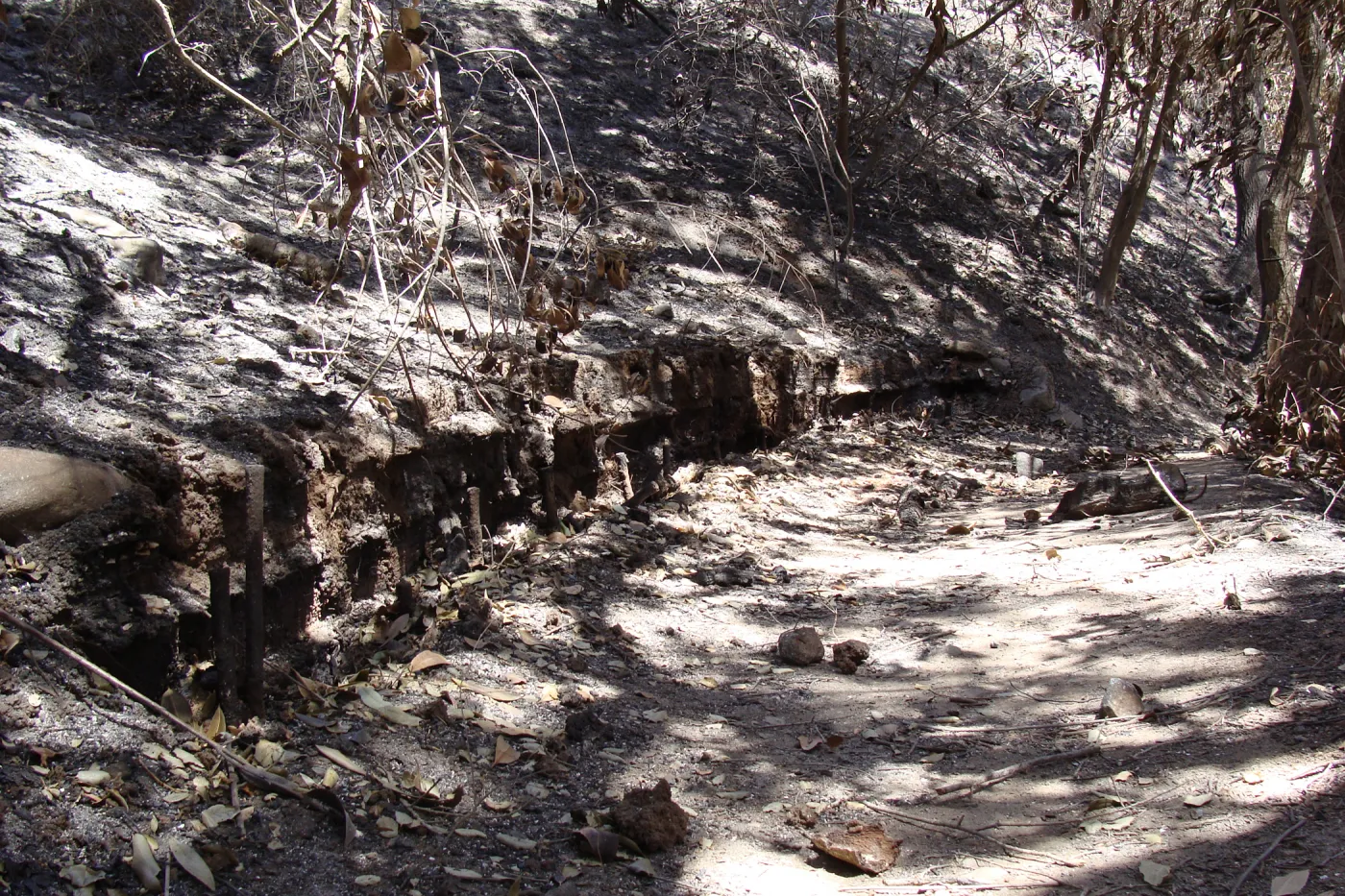 burned remains of wood retaining wall along the Pritchett Trail, after the Jesusita Fire