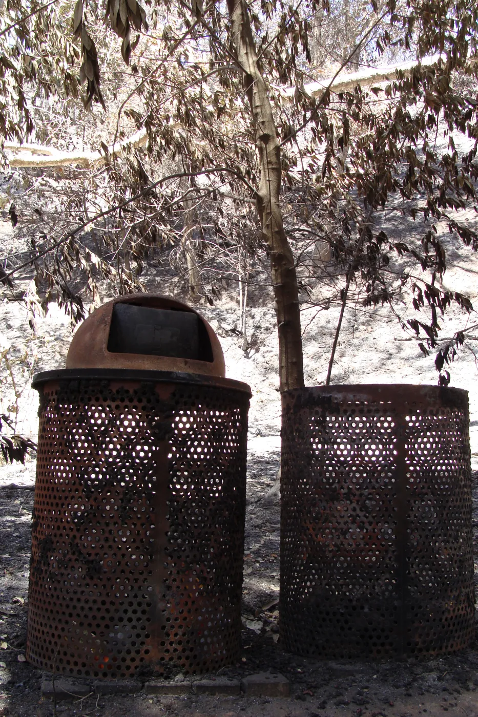 burned trash cans along the Canyon Trail, after the Jesusita Fire