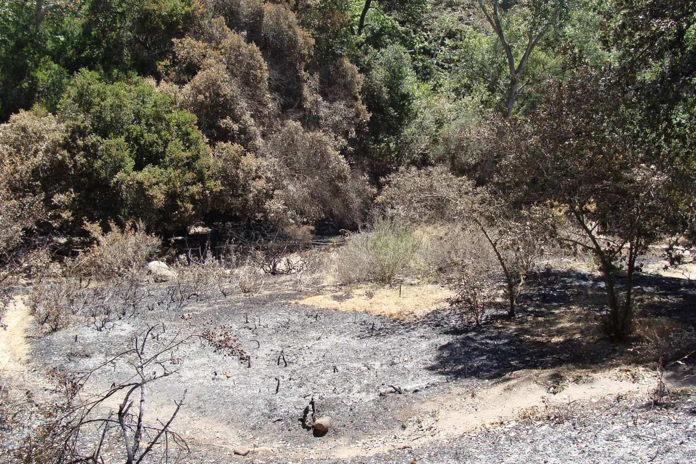 looking down over the Island Section, after the Jesusita Fire