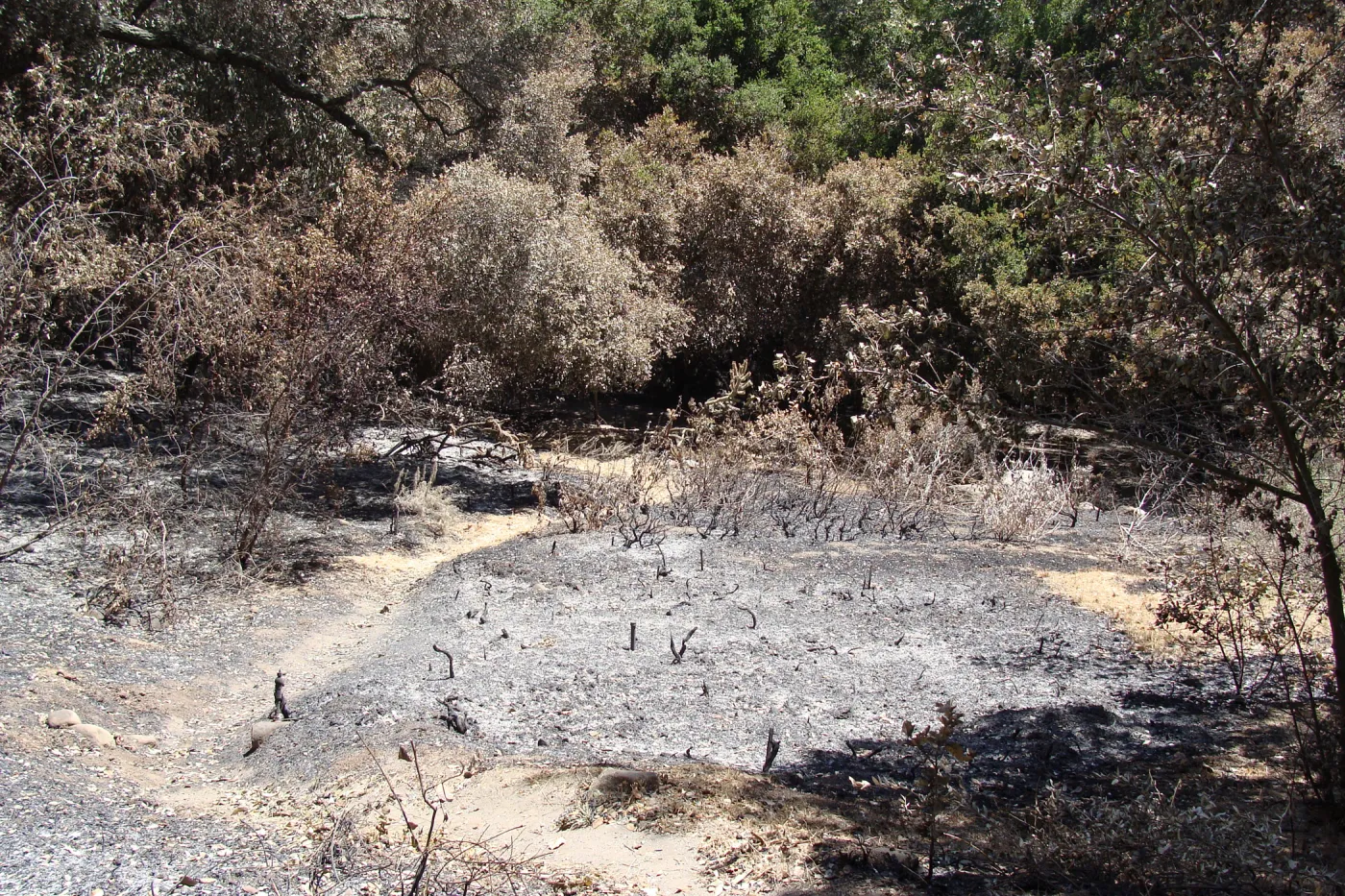 looking down over the Island Section, after the Jesusita Fire