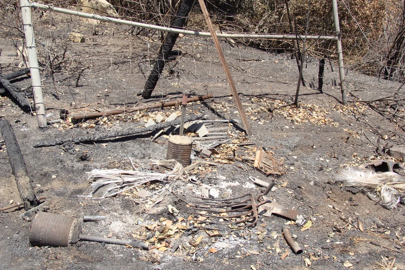 debris at the Gane/Lotterhos site, after the Jesusita Fire