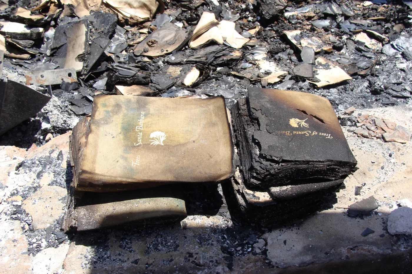 burned copies of 'Trees of Santa Barbara', after the Jesusita Fire