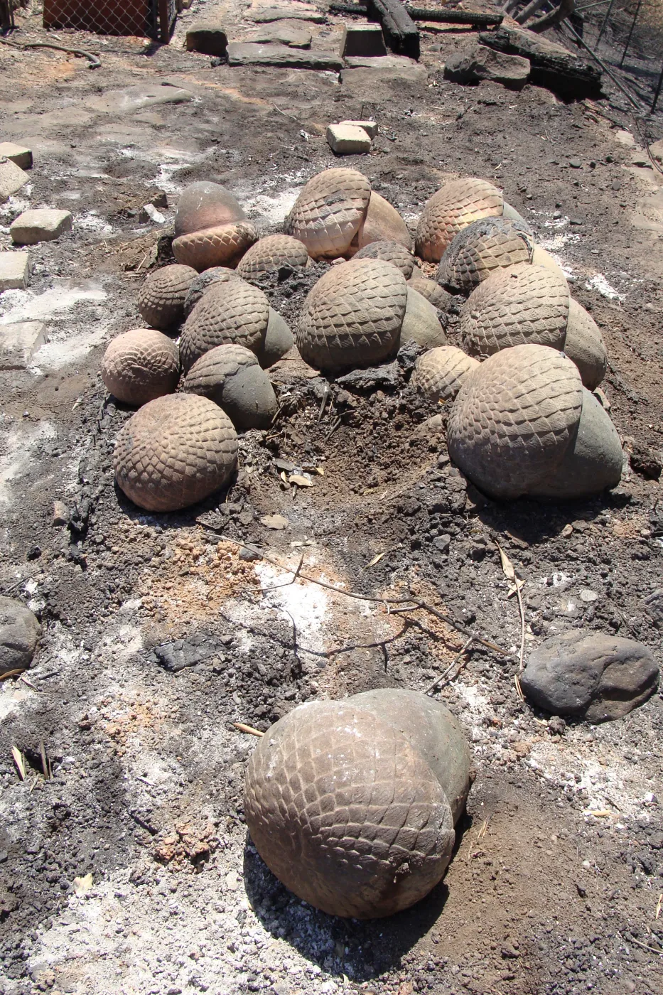 sculpted concrete acorns, stored at the Gane/Lotterhos site, after the Jesusita Fire
